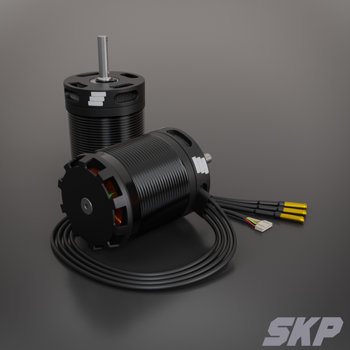 6495 SKP Motors – SkyartPowerSystems