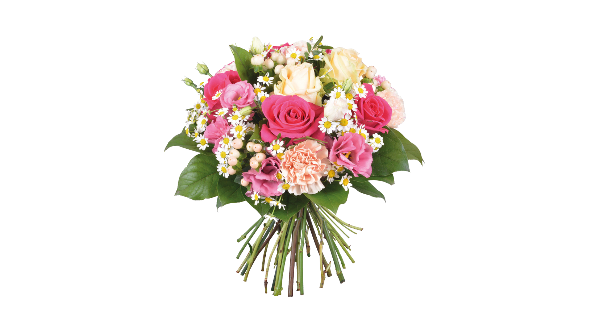 Image de fleur Bouquet de fleurs