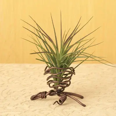 1 Pod Air Plant Holder (Plant not included)