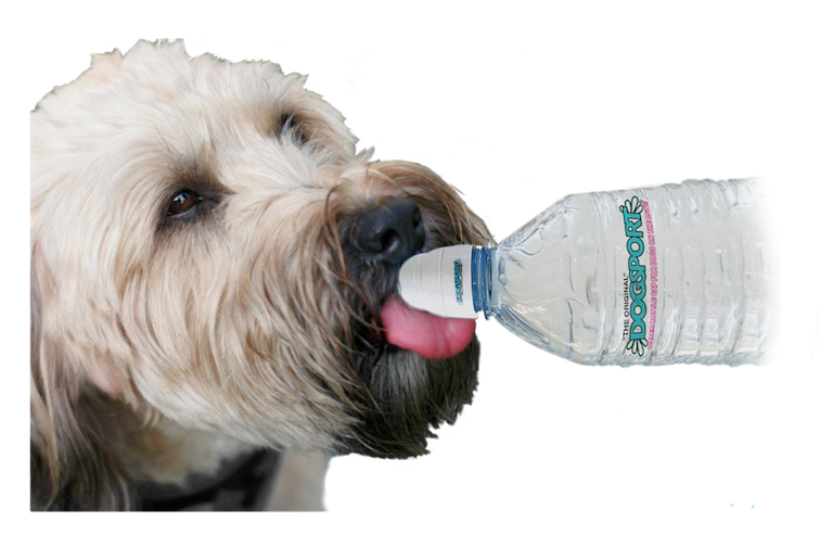 DogSport - Water bottle Cap for Dogs on the Go – DogSportH2O