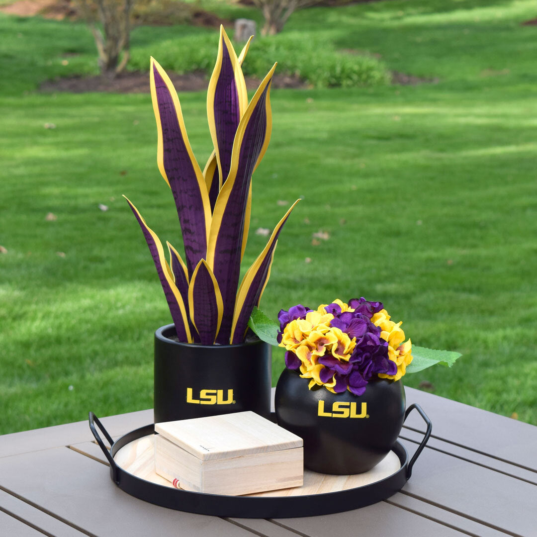 LSU Hydrangea Plant, LSU Faux Hydrangea Plant, LSU Gifts for Men