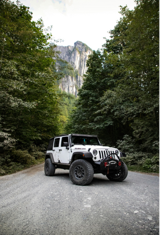 Jeep Wrangler is a notorious vehicle celebrated for its rugged and off-road capability