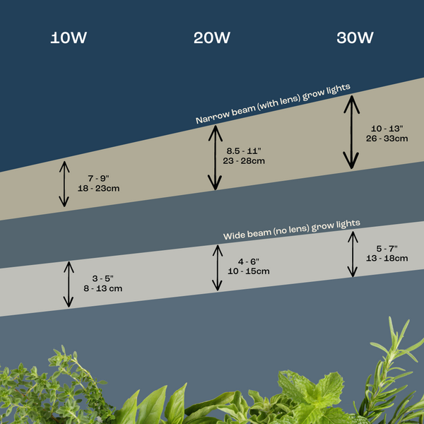 Taiko mave På kanten Hændelse, begivenhed LED Grow Light Distance Chart From Plants. How Far Should Grow Lights |  Urban Leaf