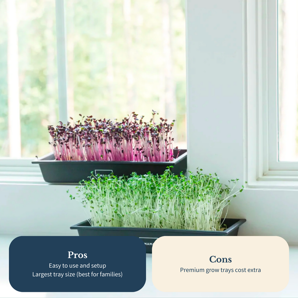 Hamama Microgreens Growing Kit