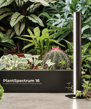 PlantSpectrum 16 - Urban Leaf