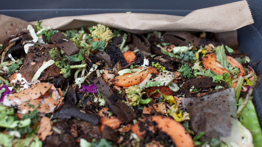 compost food scraps