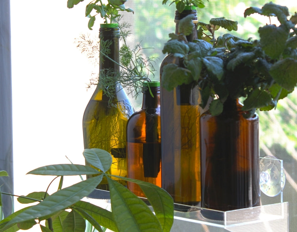 Floating Shelf Garden