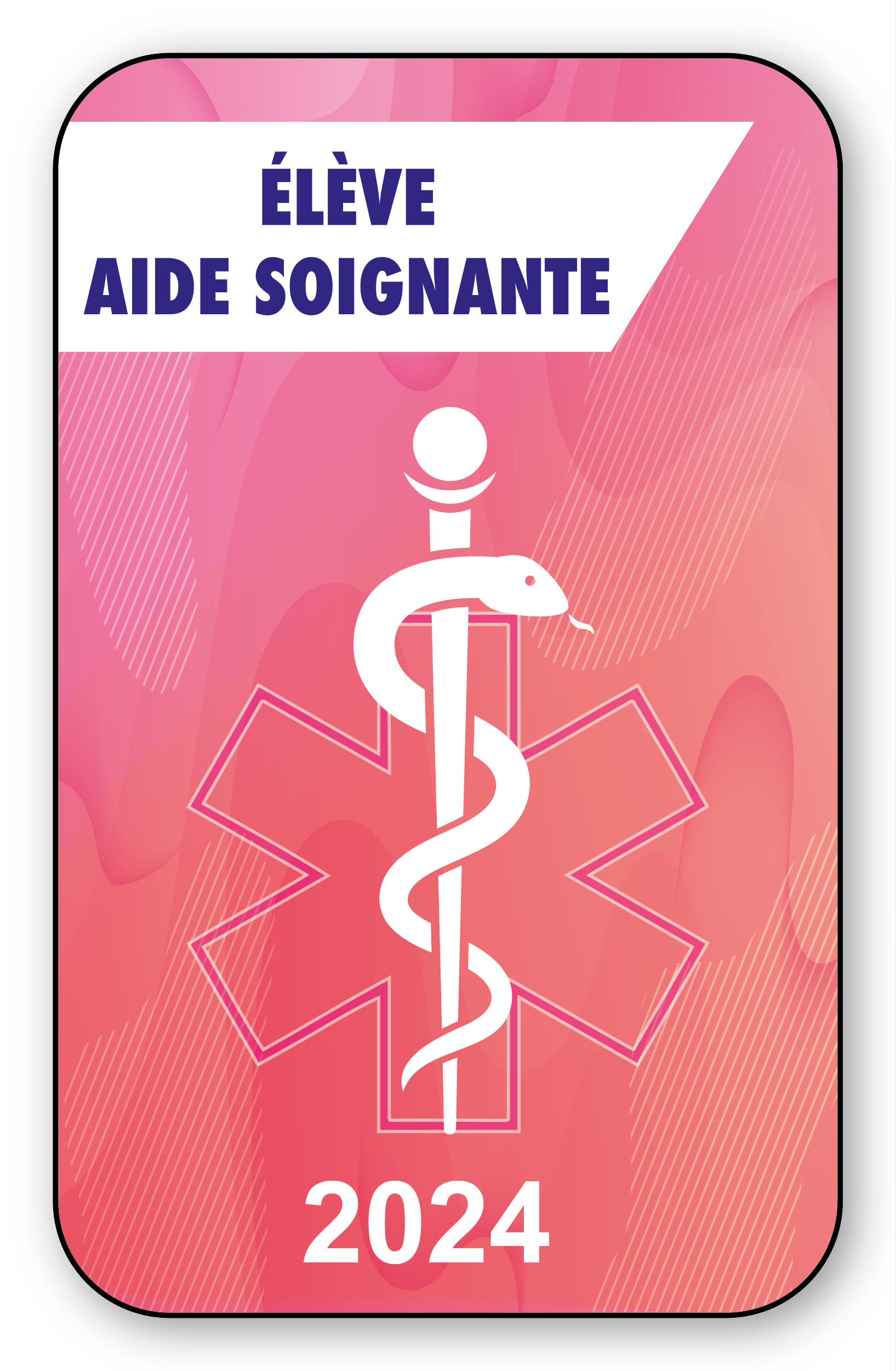 Autocollant Sticker - Vignette Caducée 2024 pour pare brise en Vitrophanie - V5 aide Soignant