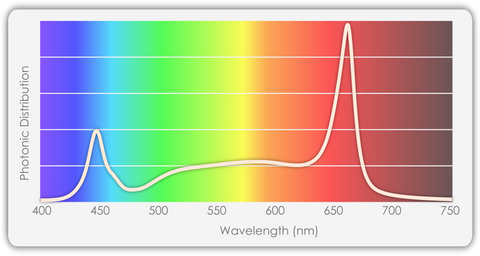 HI-Top 620 Spectrum