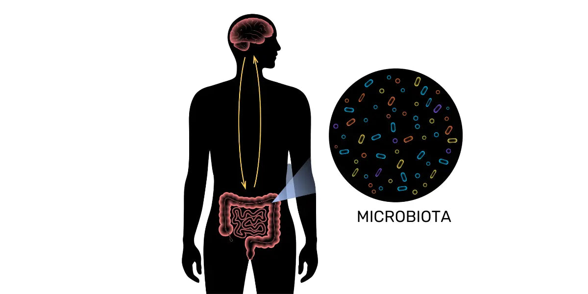 balance gut microbiodata
