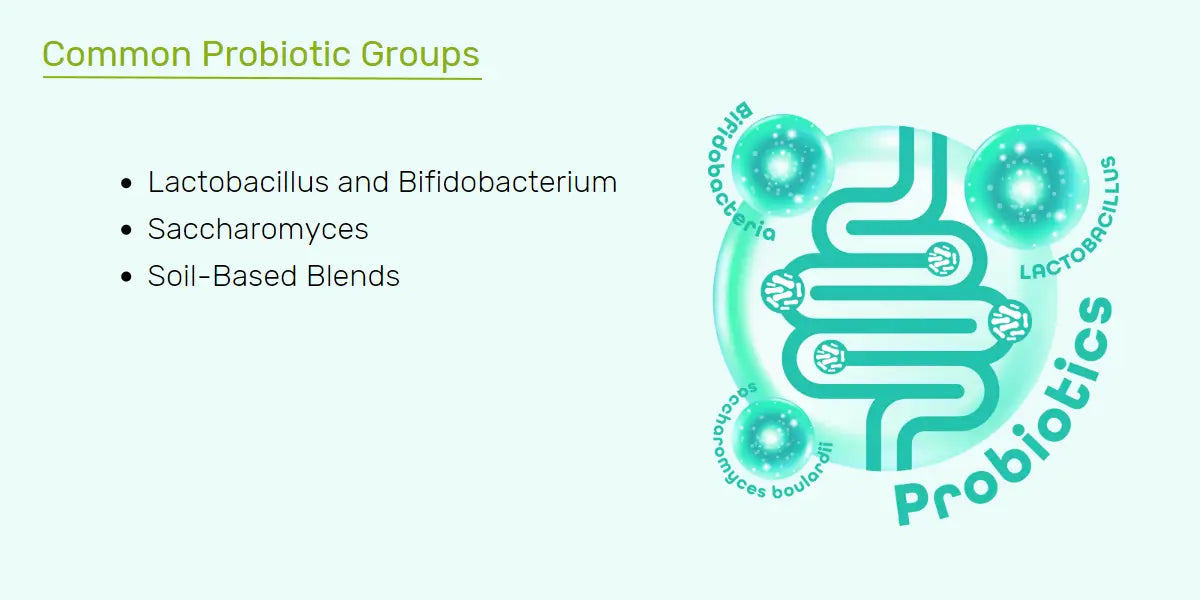 Common probiotic grpups