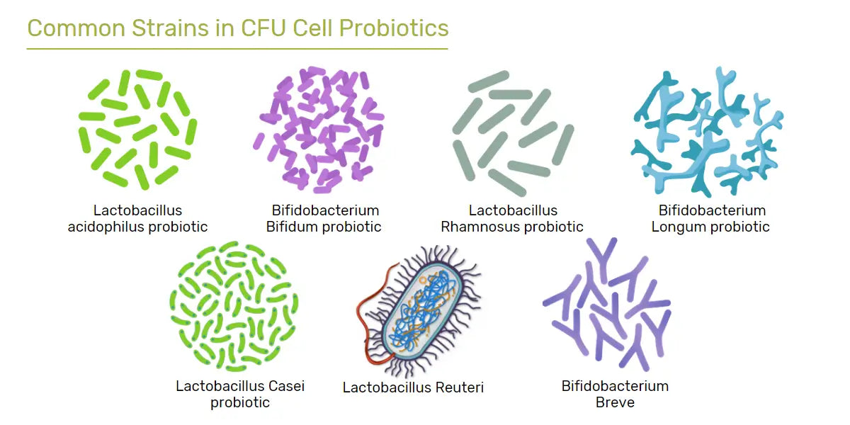 common strains found in CFU