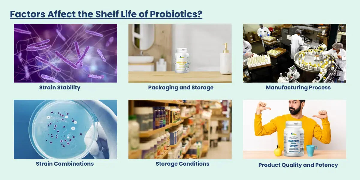 do probiotics expire factors affecting shelf life