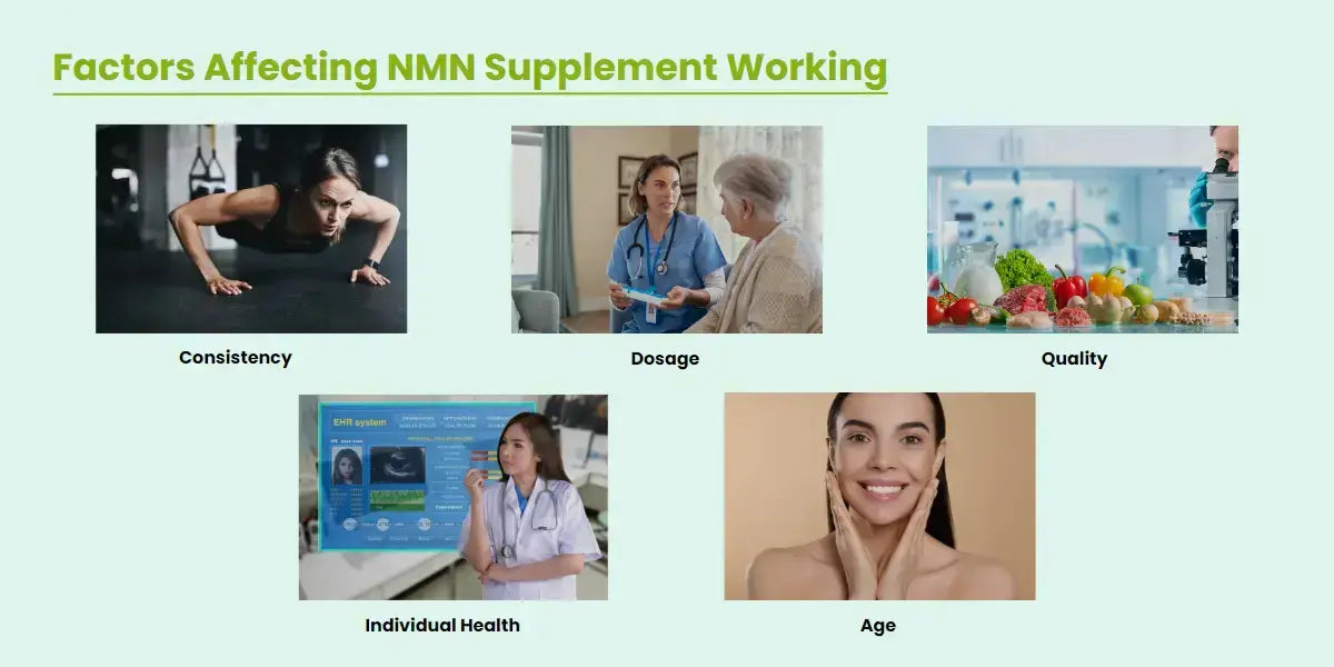 How Long Does Nmn Take To Work How Long Does It Take For NMN To Start Working (Ultimate Guide) - Allbe