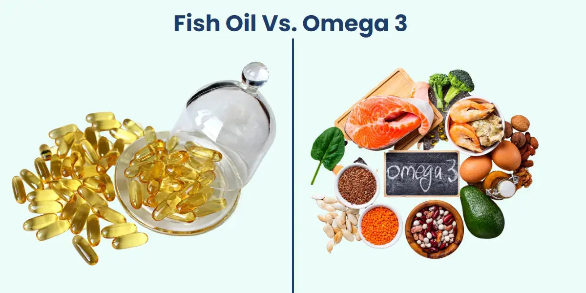 fish oil vs omega 3 oil