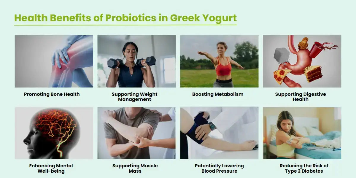 does Greek yogurt contains probiotics