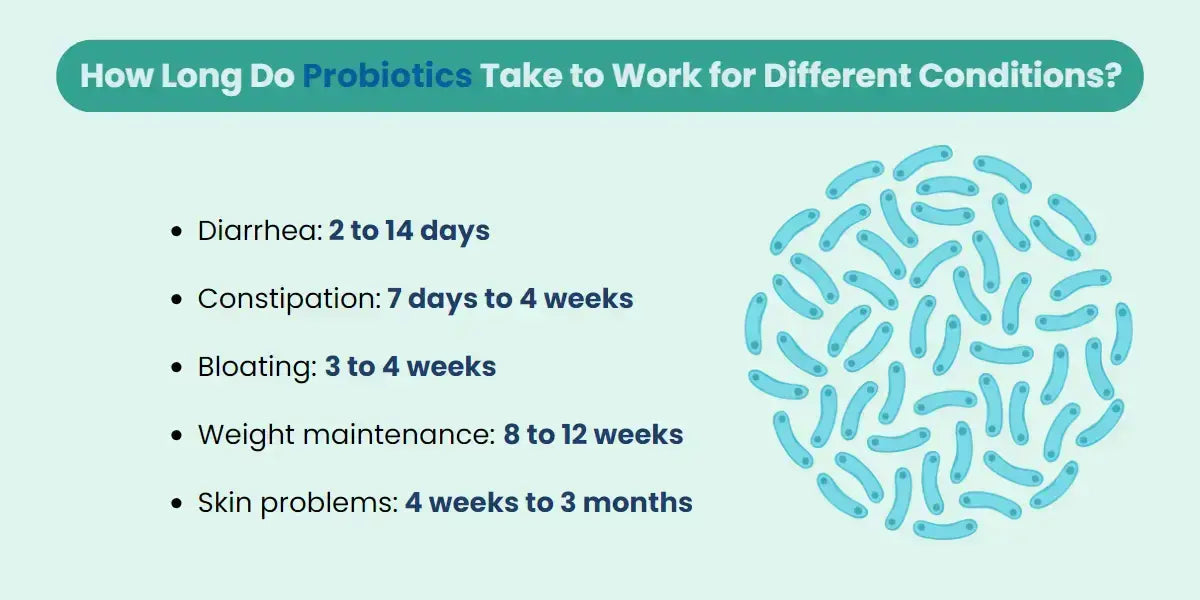 how long does it take probiotics to work