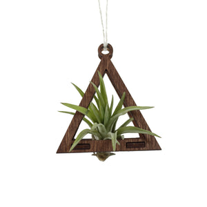 Mini Pyramid Air Plant Hanger - Zyphire Studios - Plant Pyramid