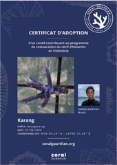 Certificat d’adoption d’un corail (papier)