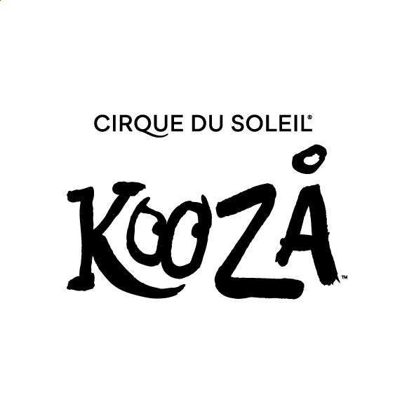 Scarves  Cirque du Soleil Shop