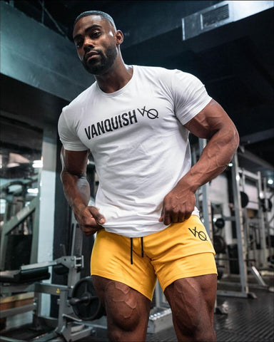 VANQUISH FITNESS 日本正規店がサイズ感や各モデル、ブランド