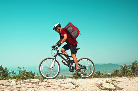 Hunderucksack für Fahrrad Wanderpfote Hunderucksack für Hundetransport mit Fahrrad perfekt geeignet auch bei schwierigen Strecken und E-Bike oder E-Mountainbike