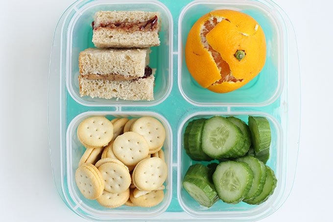 Snacks with Jax: Toddler Nutrition & BLW - Toddler Lunch Box