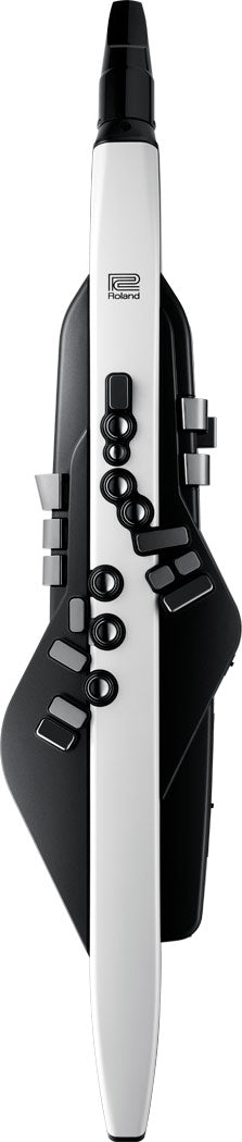 Roland AE-10 Aerophone Digital Saxophone - Graphite — Zedem