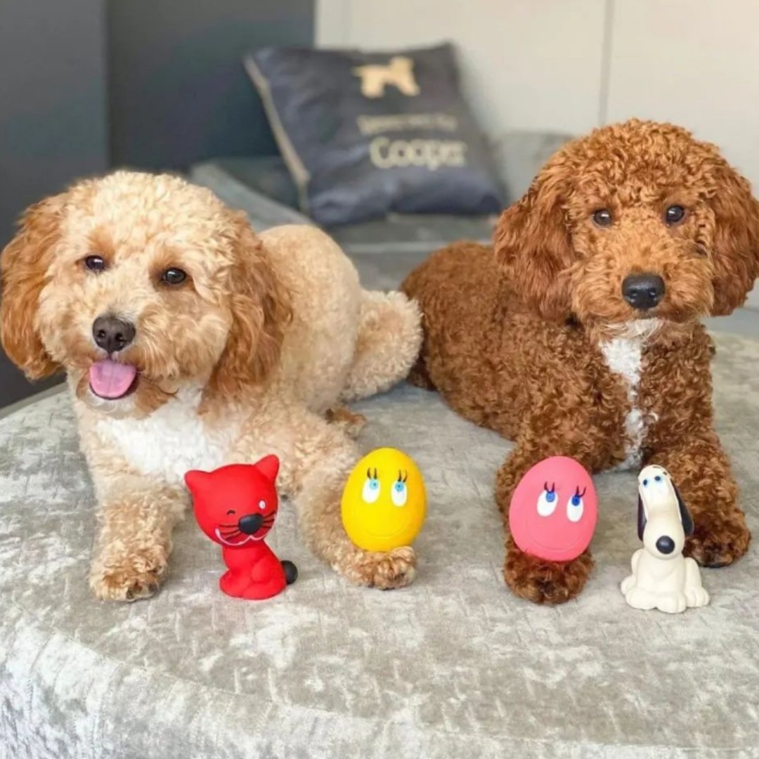 https://cdn.shopify.com/s/files/1/0570/7009/products/pet-4-set-2-ovo-the-eggs-red-cat-and-dog-789306_1600x.jpg?v=1671469792