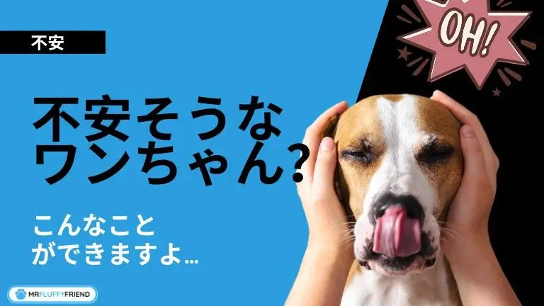 不安な犬たちに向けたグラフィックポスター、心配な犬が手に慰められているイラスト。