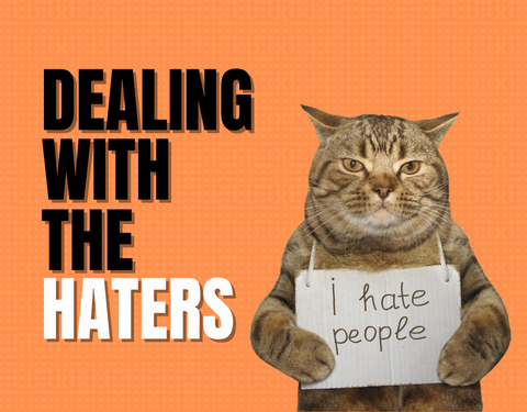 Dealing with the haters wording with a grumpy cat holding a sign stating I hate people