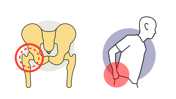 Heat Therapy for Hip Pain Harti Heating Pad