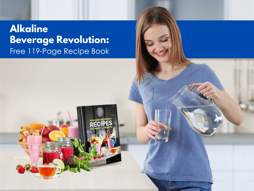 alkaline recipe book