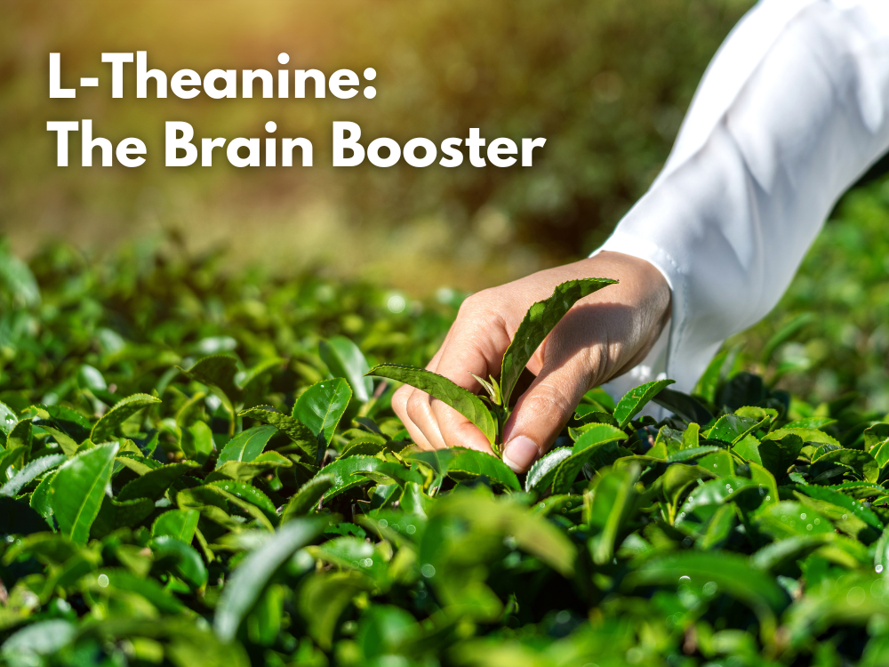 L-Theanine: The Brain Booster