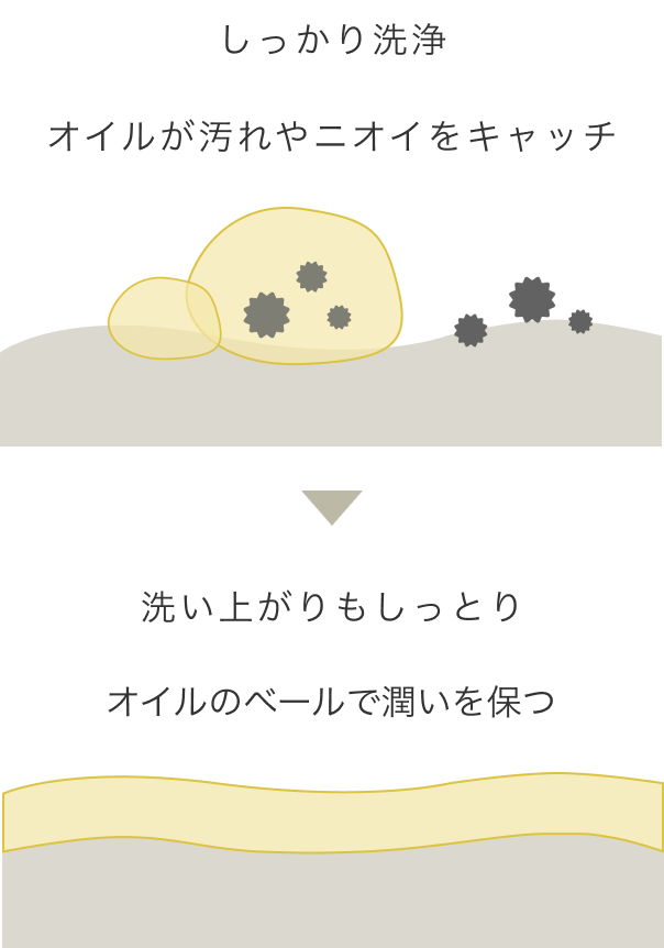 しっかり洗浄、オイルが汚れやニオイをキャッチ、洗い上がりもしっとり、オイルのベールで潤いを保つ