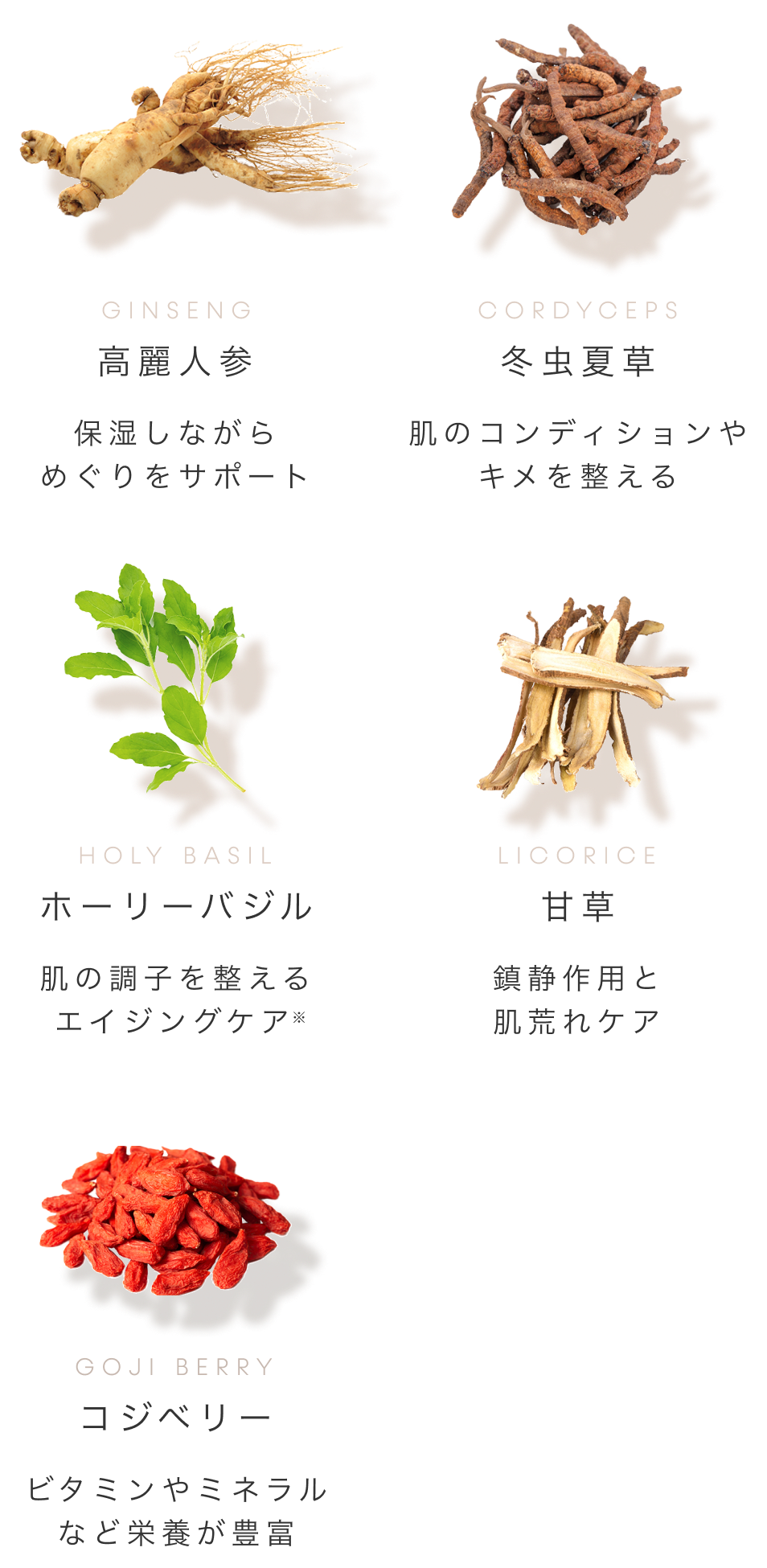 高麗人参、冬虫夏草、ホーリーバジル、甘草、コジベリー