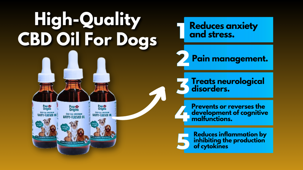 The Role of High-Quality CBD Oil For Dogs