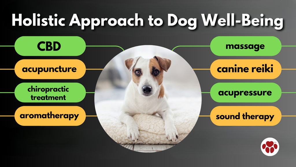 Holistic Approach to Dog Well-Being