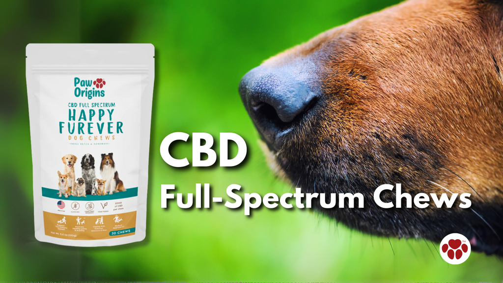 CBD Full-Spectrum Chews