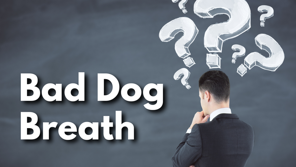Bad Dog Breath FAQs