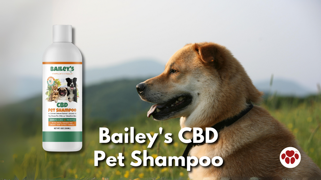 Bailey's CBD Pet Shampoo For Dogs