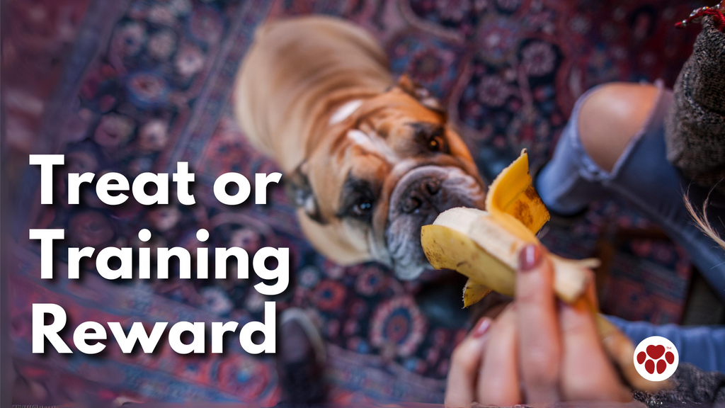 Banana Used As A Treat Or Training Reward