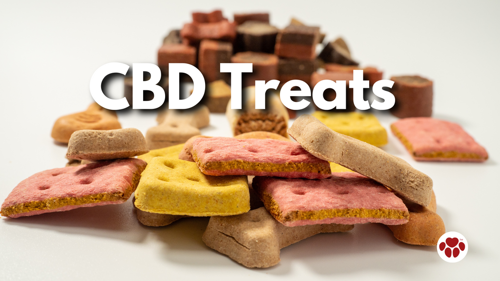 CBD Treats