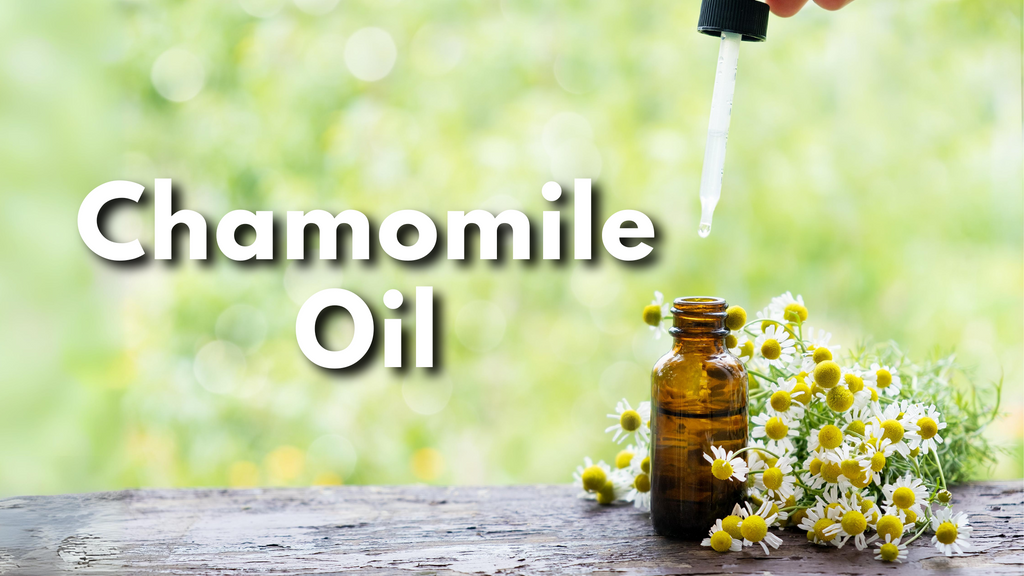 Chamomile Oil