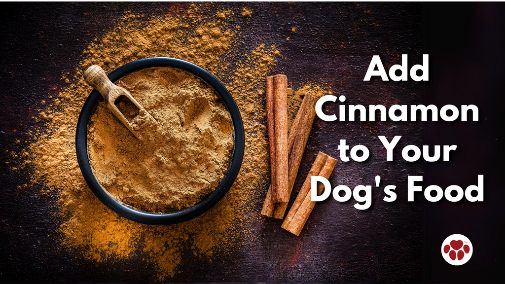 Add Cinnamon to Your Dog's Food