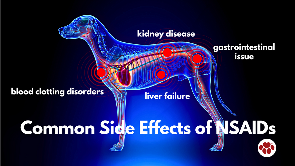 Common Side Effects of NSAIDs