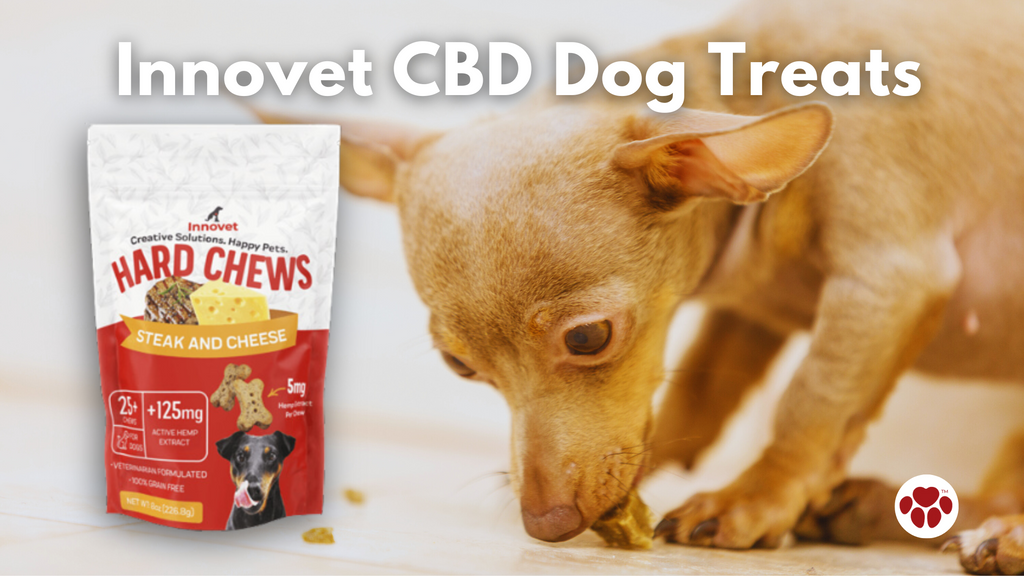 Innovet CBD Dog Treats