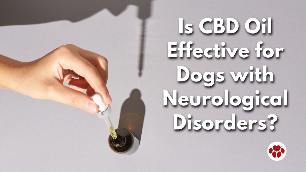 Is CBD Oil Effective for Dogs with Neurological Disorders?