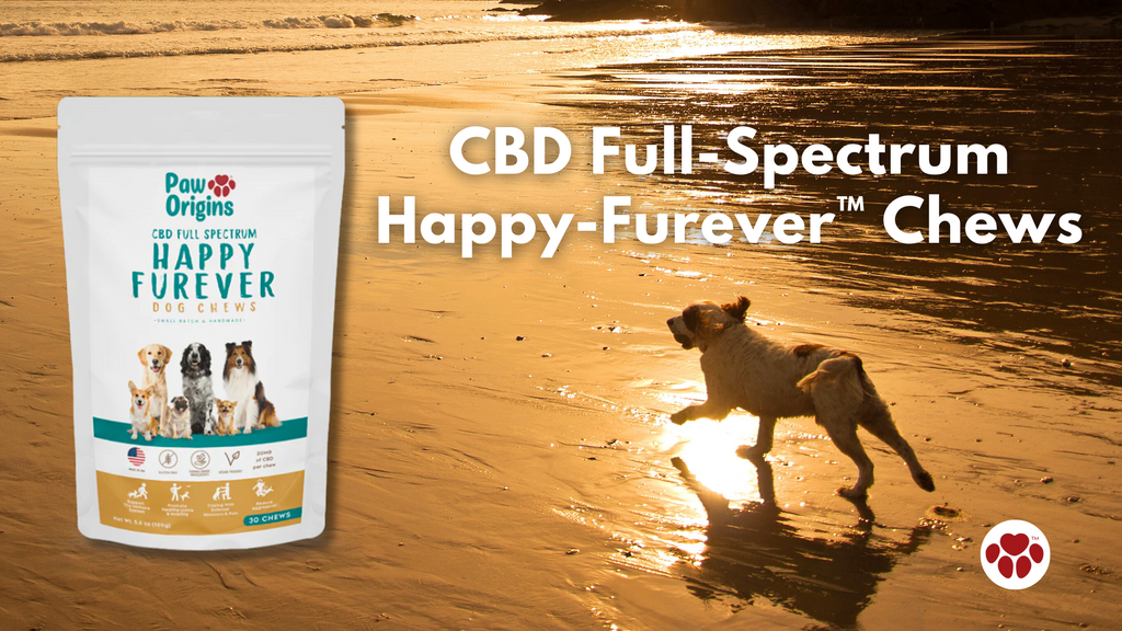 CBD Full-Spectrum Happy-Furever™ Chews