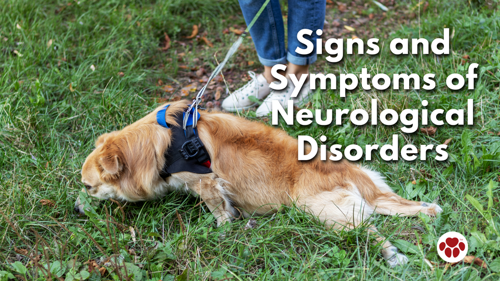 Signs and Symptoms of Neurological Disorders